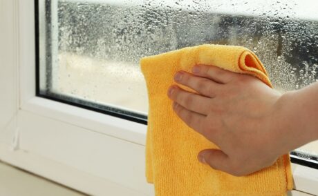 Cum te afectează umiditatea aerului din casă