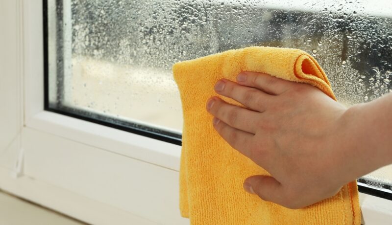 Cum te afectează umiditatea aerului din casă