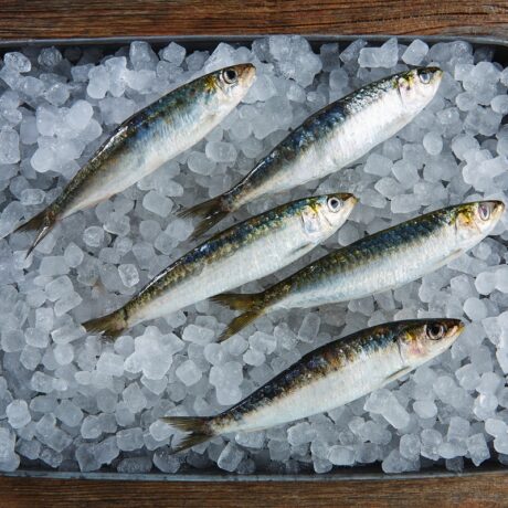 Tavă cu sardine proaspete pe gheață