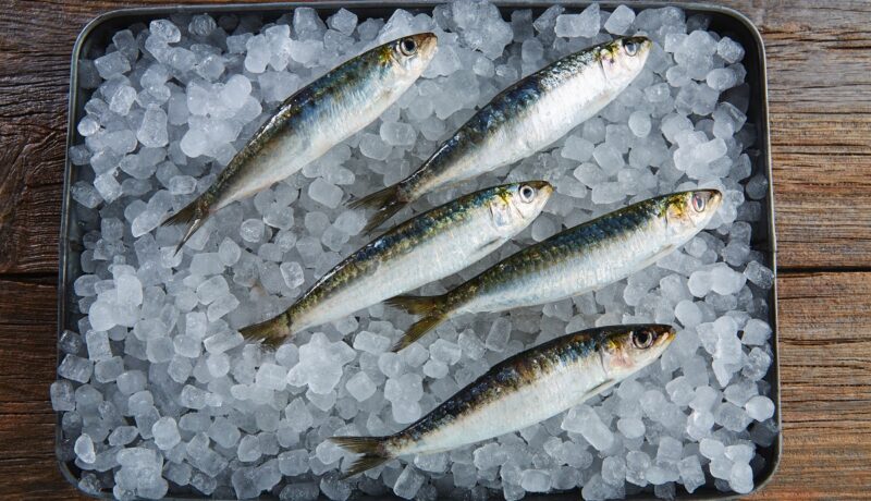 Sardine sau suplimente cu ulei de pește? Care aduc mai multe beneficii nutriționale