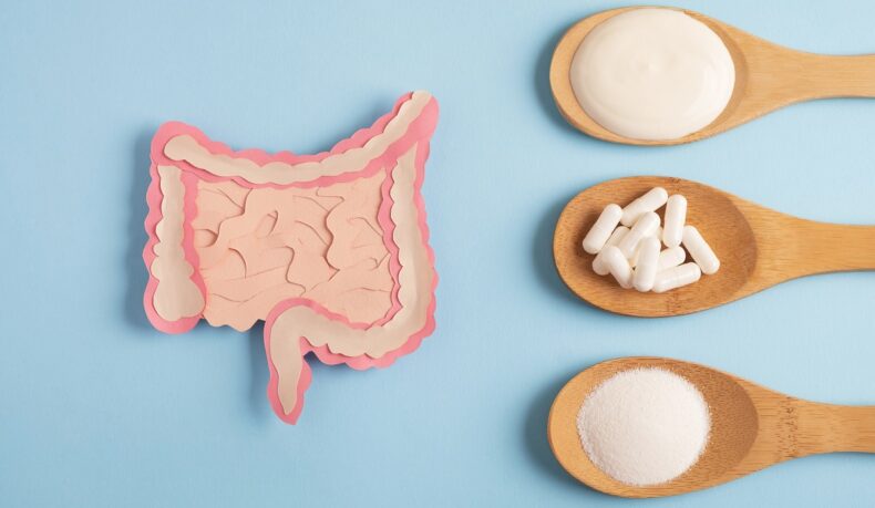 Sistem digestiv desenat și trei linguri pline cu iaurt, pastile și pudră albă, surse de probiotice și prebiotice