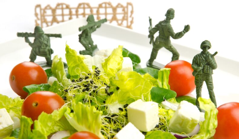 Dieta militară: cum se ține, avantaje și dezavantaje