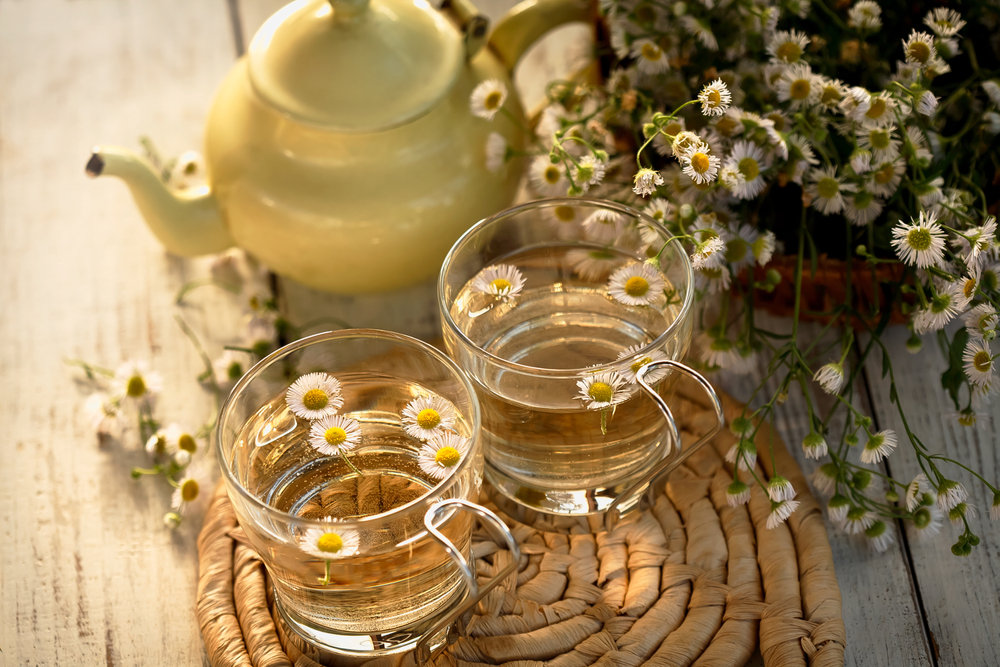 Două căni cu ceai, alături de un ceainic și flori de mușețel