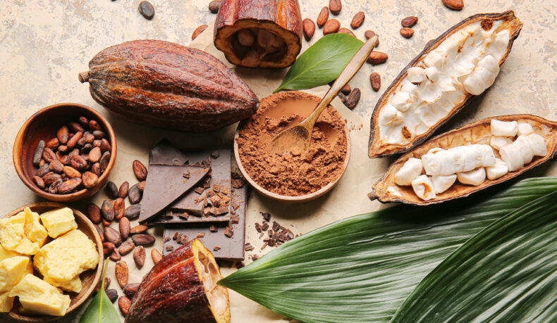 Eficiența extractului de cacao în reducerea declinului cognitiv. Cum poate sprijini sănătatea adulților în vârstă