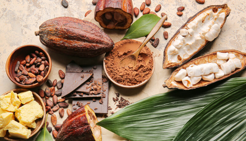 Eficiența extractului de cacao în reducerea declinului cognitiv. Cum poate sprijini sănătatea adulților în vârstă