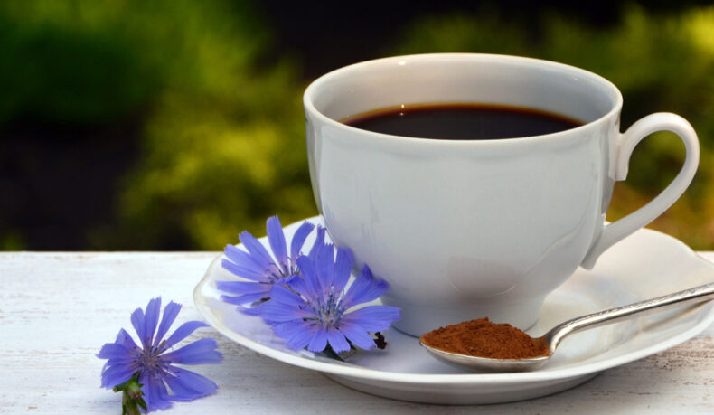 Beneficiile cafelei de cicoare. Cu ce poți înlocui cofeina