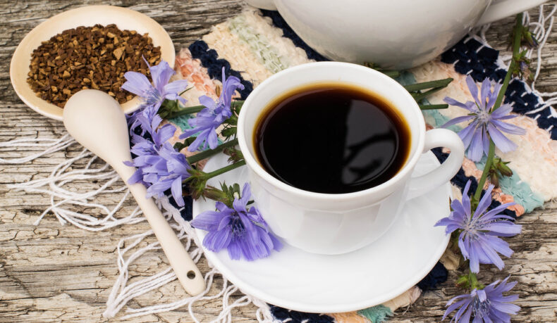 O ceașcă cu cafea de cicoare, lângă: flori de cicoare, un vas, o farfurie din lemn cu rădăcini de cicoare și o lingură din lemn