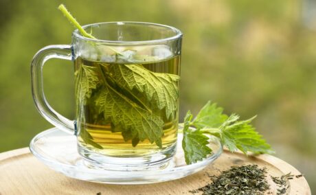 Beneficiile ceaiului de urzici. De ce îți poate sprijini sănătatea