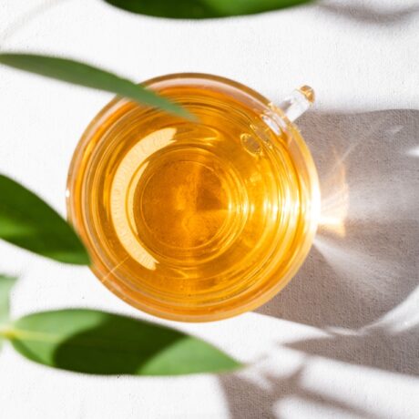 Proprietățile medicinale ale ceaiului de eucalipt. Beneficiile și potențialele riscuri ale acestei băuturi