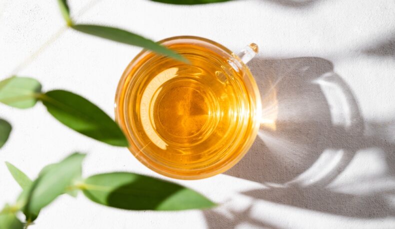 Proprietățile medicinale ale ceaiului de eucalipt. Beneficiile și potențialele riscuri ale acestei băuturi