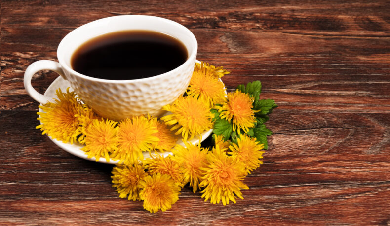 Beneficiile cafelei de păpădie. Cum poți înlocui cofeina
