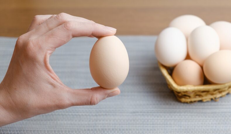 Cum verifici dacă ouăle sunt proaspete și sigure pentru consum 