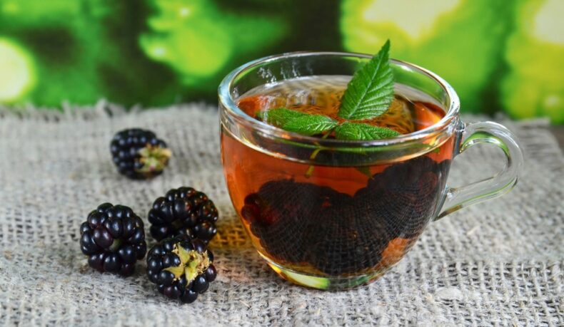 Proprietățile medicinale ale ceaiului de mure. Cum îți pot sprijini funcționarea organismului