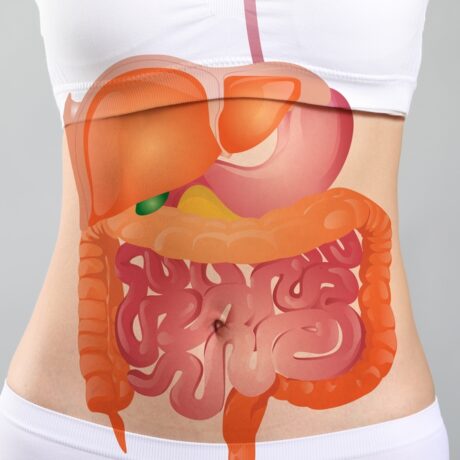 Un desen al sistemului digestiv, suprapus peste corpul unei femei tinere