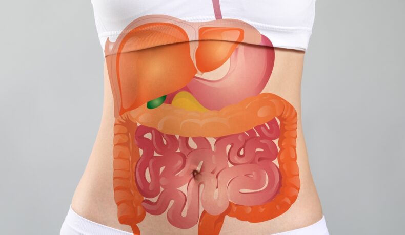 Un desen al sistemului digestiv, suprapus peste corpul unei femei tinere