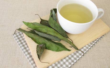 Proprietățile ceaiului din frunze de avocado. Ce modificări poate aduce în organism