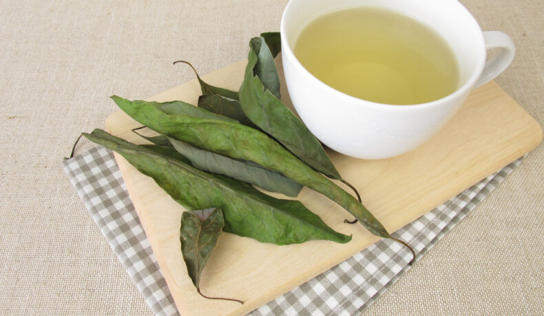 Proprietățile ceaiului din frunze de avocado. Ce modificări poate aduce în organism
