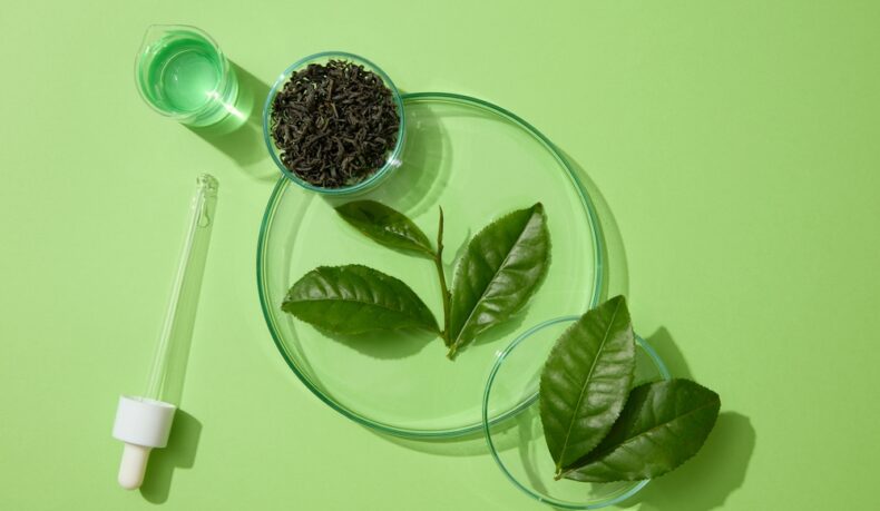 Un pahar cu extract de ceai verde, un picurător, un vas cu frunze uscate și două farfurii cu frunze din planta Camellia sinensis