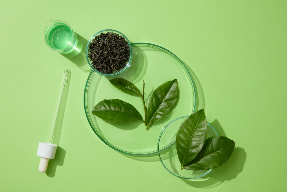 Un pahar cu extract de ceai verde, un picurător, un vas cu frunze uscate și două farfurii cu frunze din planta Camellia sinensis