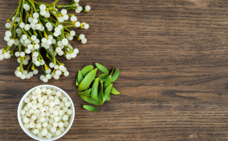 Proprietățile medicinale ale vâscului. Ce întrebuințări poate avea această plantă