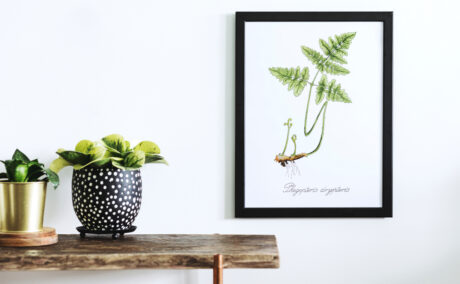 Ce se întâmplă dacă privești zilnic peisaje din natură. Cum îți poate îmbunătăți sănătatea mintală