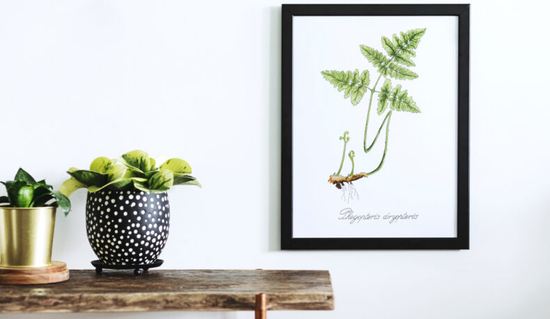 Ce se întâmplă dacă privești zilnic peisaje din natură. Cum îți poate îmbunătăți sănătatea mintală