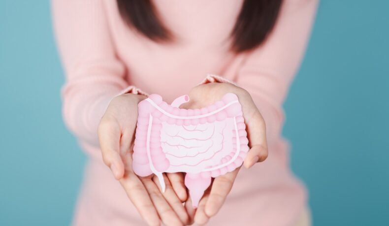 O femeie care ține în mâini o machetă roz de hârtie cu sistemul digestiv, sugestiv pentru microbiomul intestinal și sănătatea digestivă