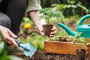 Beneficiile grădinăritului asupra sănătății mintale Timpul petrecut în natură îți poate oferi o stare de bine