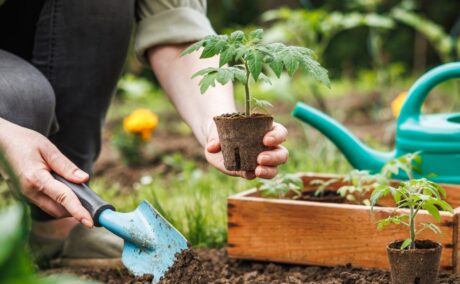 Beneficiile grădinăritului asupra sănătății mintale. Timpul petrecut în natură îți poate oferi o stare de bine