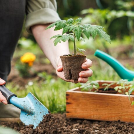Beneficiile grădinăritului asupra sănătății mintale. Timpul petrecut în natură îți poate oferi o stare de bine