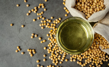Beneficiile consumului de soia. Cum îți poate sprijini starea de sănătate Beneficiile consumului de soia. Cum îți poate sprijini starea de sănătate