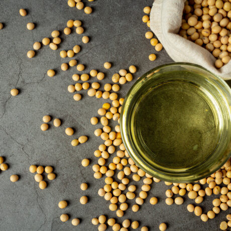 Beneficiile consumului de soia. Cum îți poate sprijini starea de sănătate