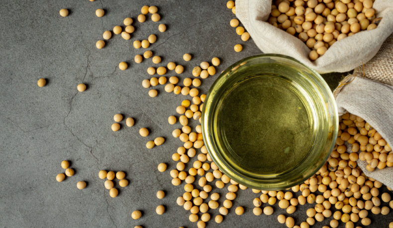 Beneficiile consumului de soia. Cum îți poate sprijini starea de sănătate