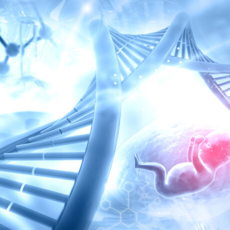 Testarea genetică a embrionilor – de ce este indicată când vrei un copil după 40 de ani
