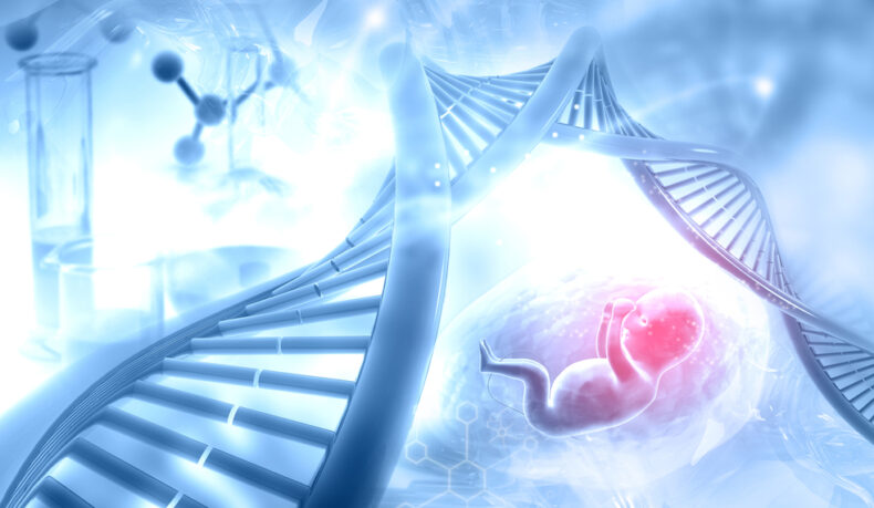 ADN și un fetus ilustrand conceptul de genetica fetusului
