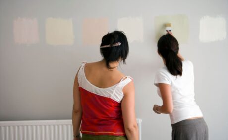 (P) Vopseaua silicatică vs. vopseaua acrilică: care este diferența și ce să alegi?