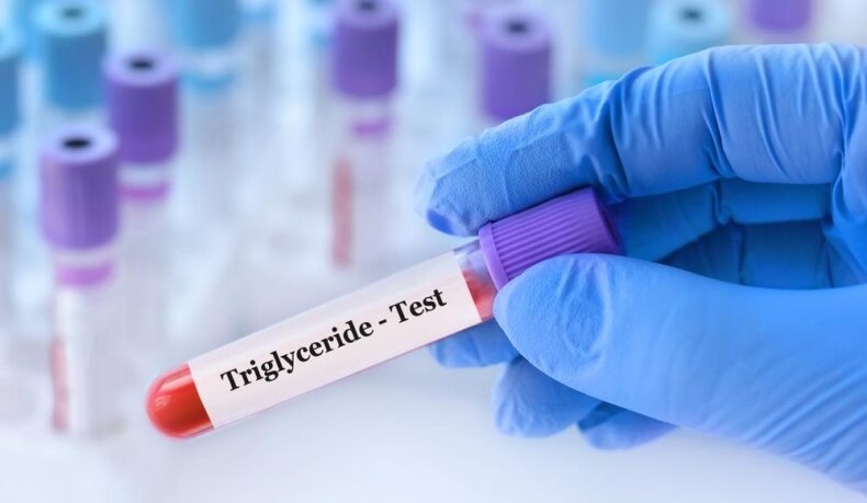 Trigliceride mărite: ce valori normale au trigliceridele, de ce cresc și care sunt riscurile pentru sănătate