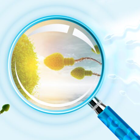 Impactul ejaculării frecvente vs. abstinența prelungită asupra calității spermei