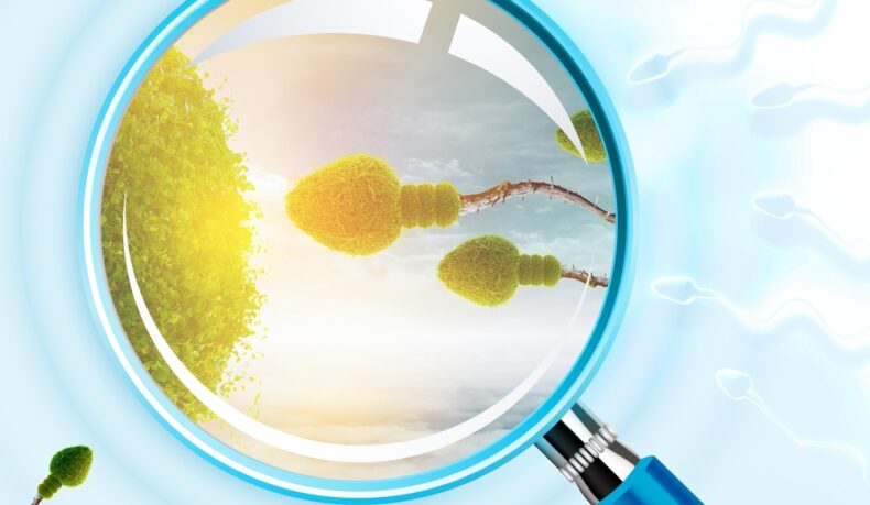 Impactul ejaculării frecvente vs. abstinența prelungită asupra calității spermei