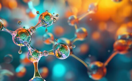 (P) Ce rol au aminoacizii în organism?