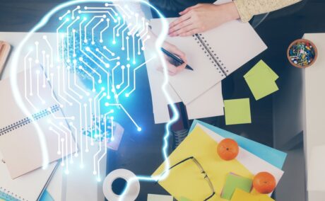 Puterea de învățare a creierului atinge maximum în anumite momente ale zilei