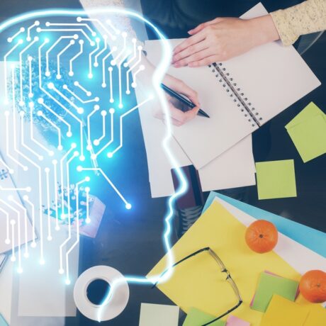 Puterea de învățare a creierului atinge maximum în anumite momente ale zilei