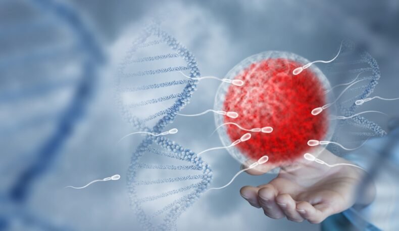 Adevărul din spatele infertilității inexplicabile