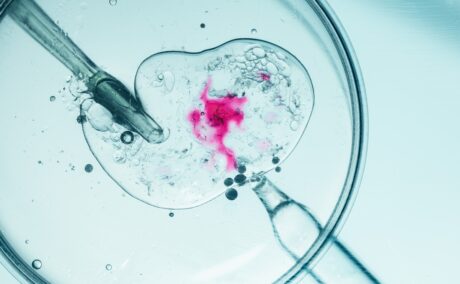 Calitatea ovocitelor tale poate fi motivul pentru care nu rămâi însărcinată. Care sunt soluțiile?