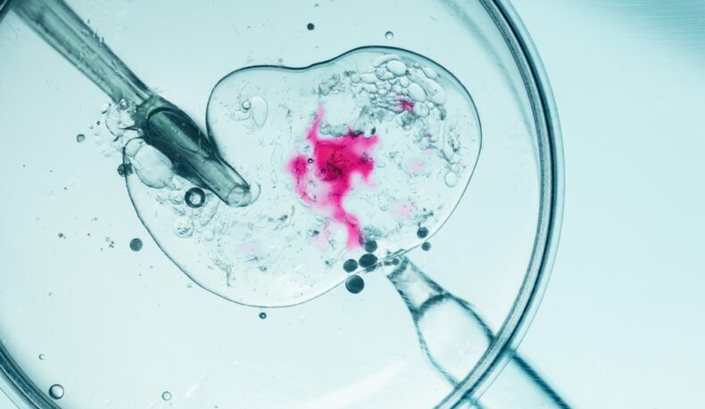 Calitatea ovocitelor tale poate fi motivul pentru care nu rămâi însărcinată Care sunt soluțiile?