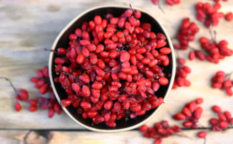 Cum alegi cea mai bună berberină? Ghid pentru echilibru metabolic