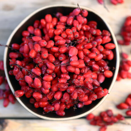 Cum alegi cea mai bună berberină? Ghid pentru echilibru metabolic