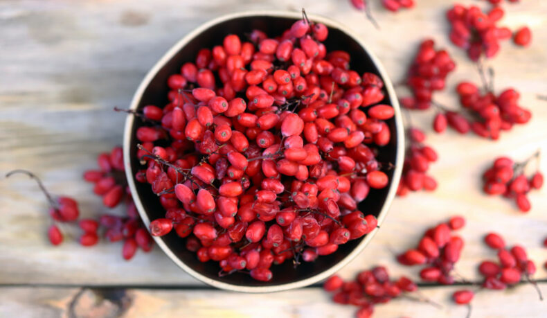 Cum alegi cea mai bună berberină? Ghid pentru echilibru metabolic