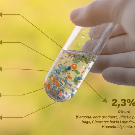 Pericolul invizibil: cum este afectată fertilitatea de microplasticele din jurul nostru?